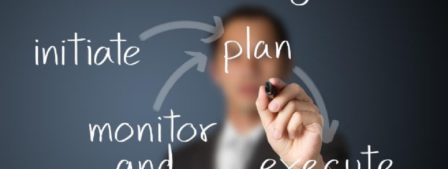 Project management process steps: initiate, plan, monitor, and execute.