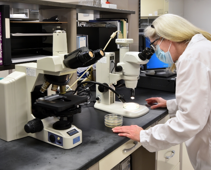 New Drug Development Work