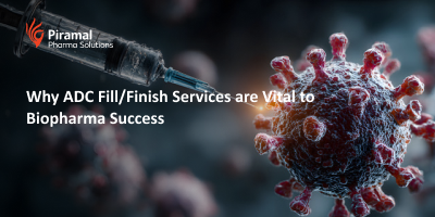 Why ADC Fill/Finish Services are Vital to Biopharma Success