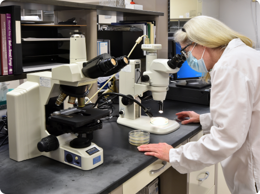 Drug discovery and development services