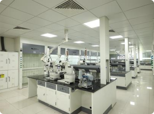 Process Chemistry and Route Optimization