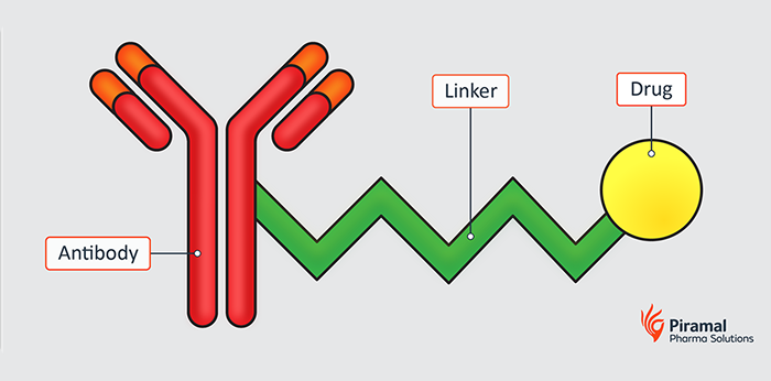 Antibody and Linker
